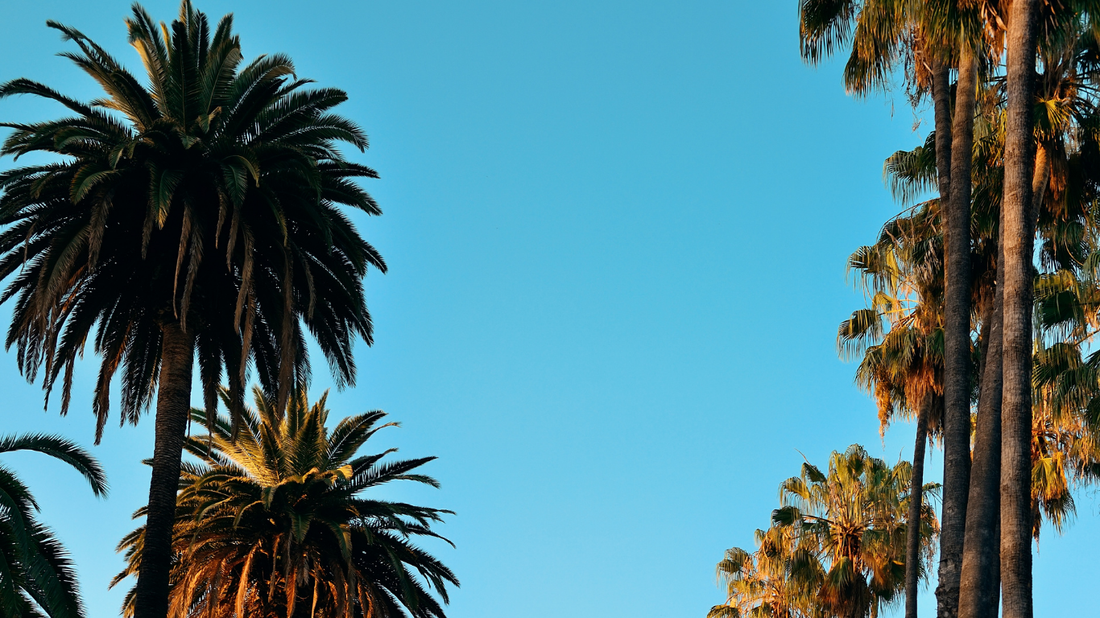 Screen Printing & Custom Apparel Services in La Palma, Orange County