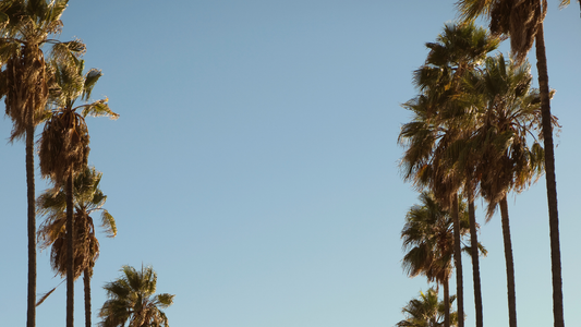 Screen Printing & Custom Apparel Services in Costa Mesa, Orange County