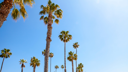 Screen Printing & Custom Apparel Services in Fountain Valley, Orange County