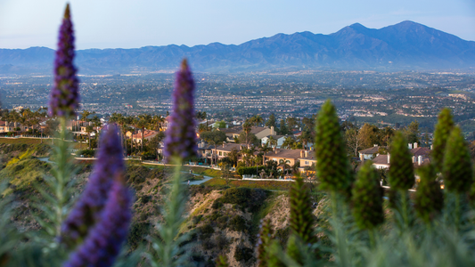 Screen Printing & Custom Apparel Services in Laguna Niguel, Orange County