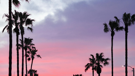 Screen Printing & Custom Apparel Services in Los Alamitos, Orange County